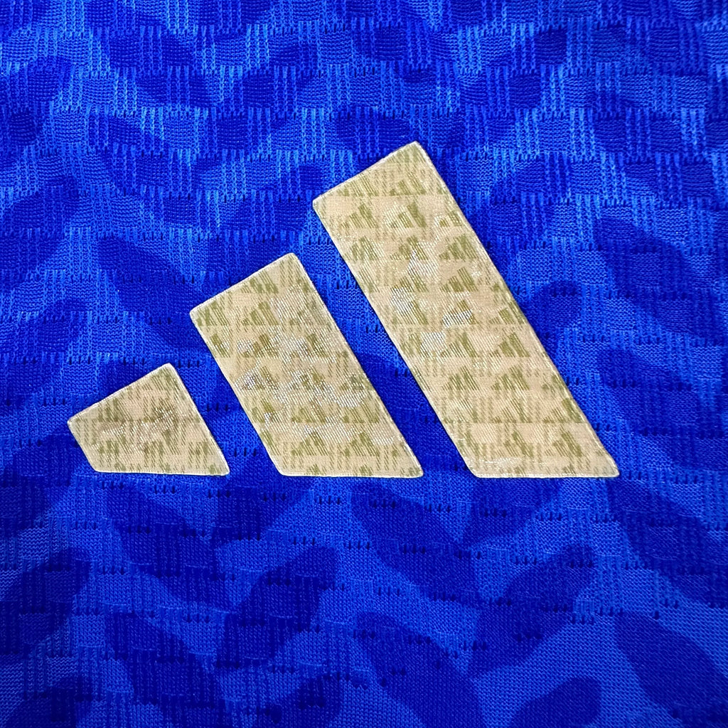 Camiseta Italia Primera Equipación Mundial 2026, Player