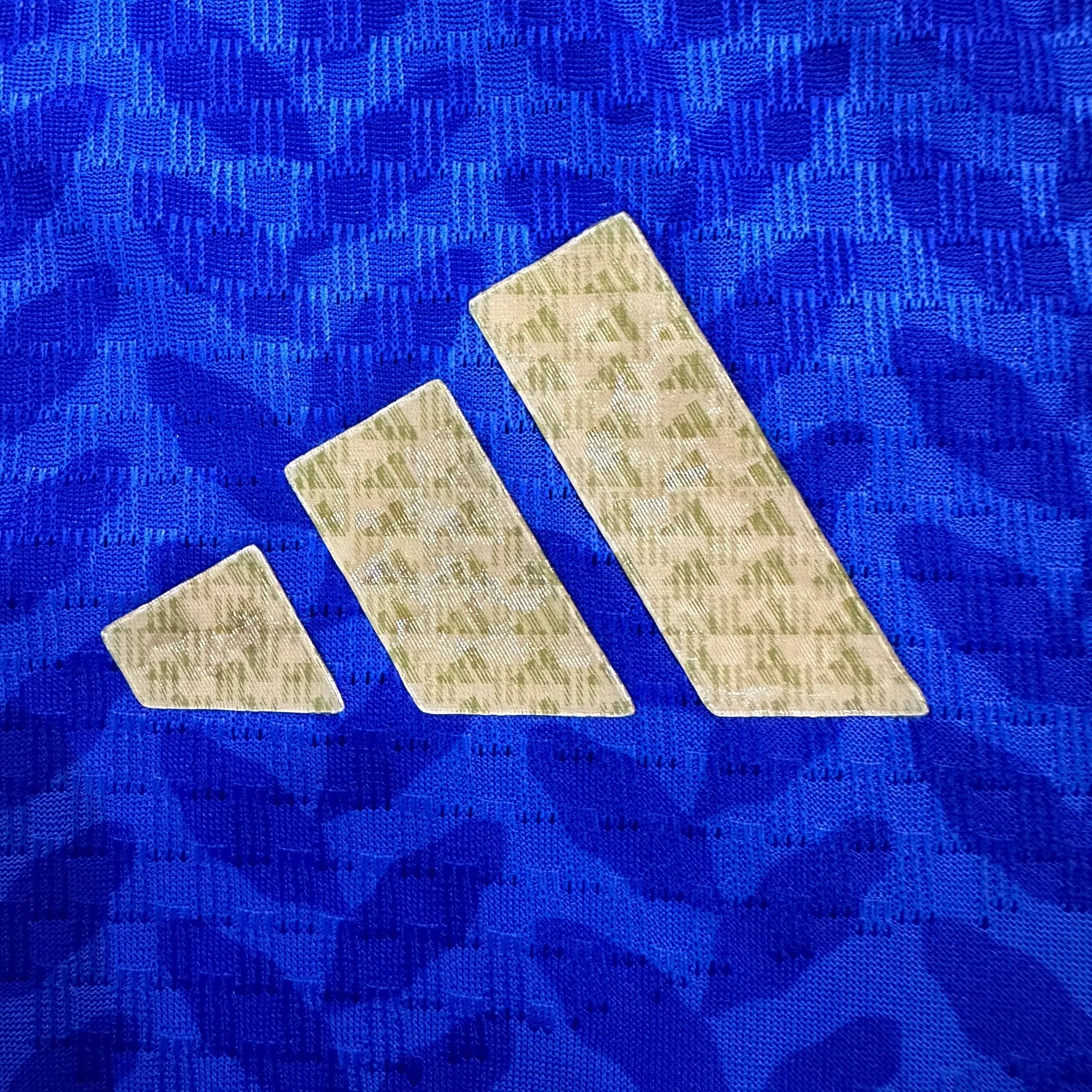 Camiseta Italia Primera Equipación Mundial 2026, Player
