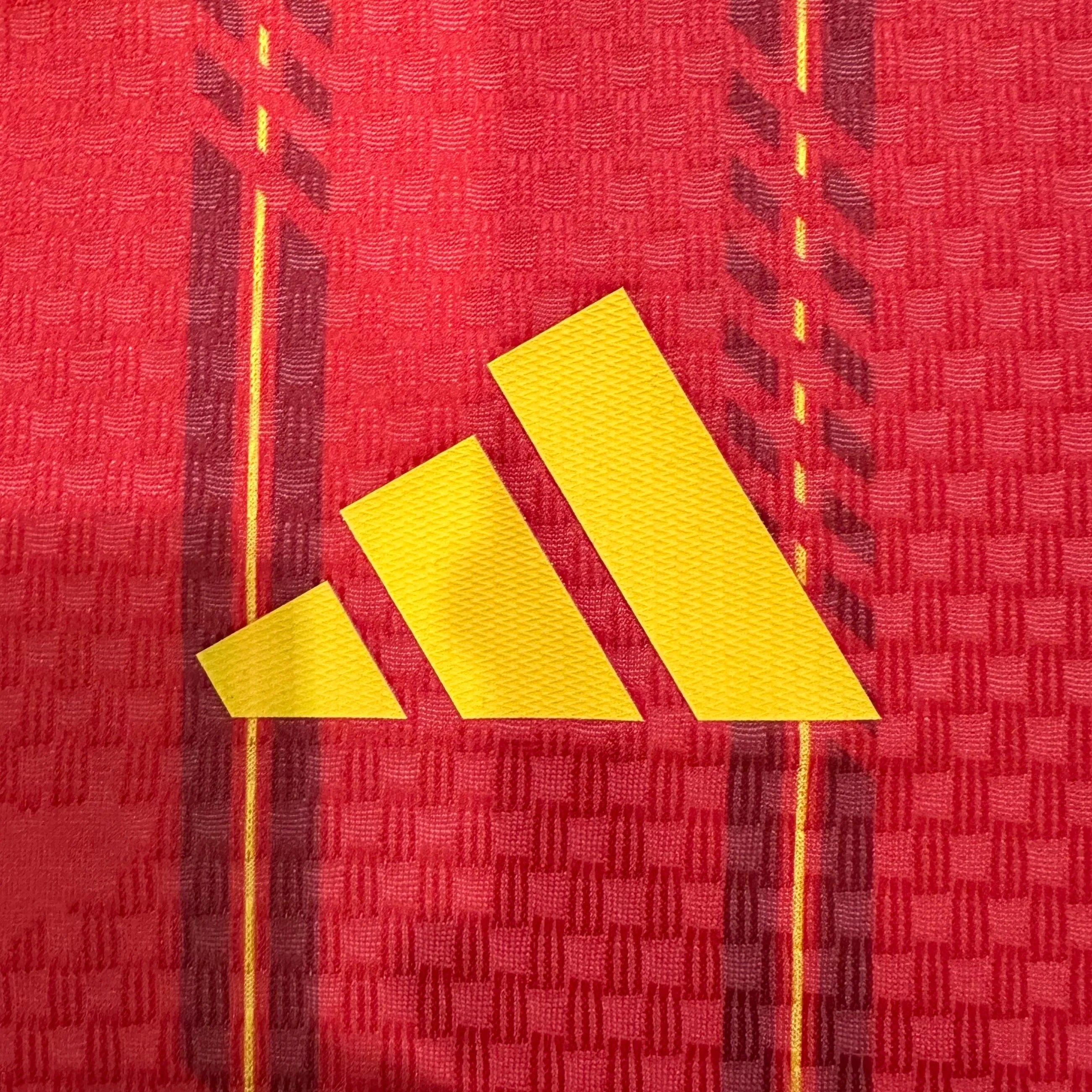 Camiseta España Primera Equipación Mundial 2026, Player