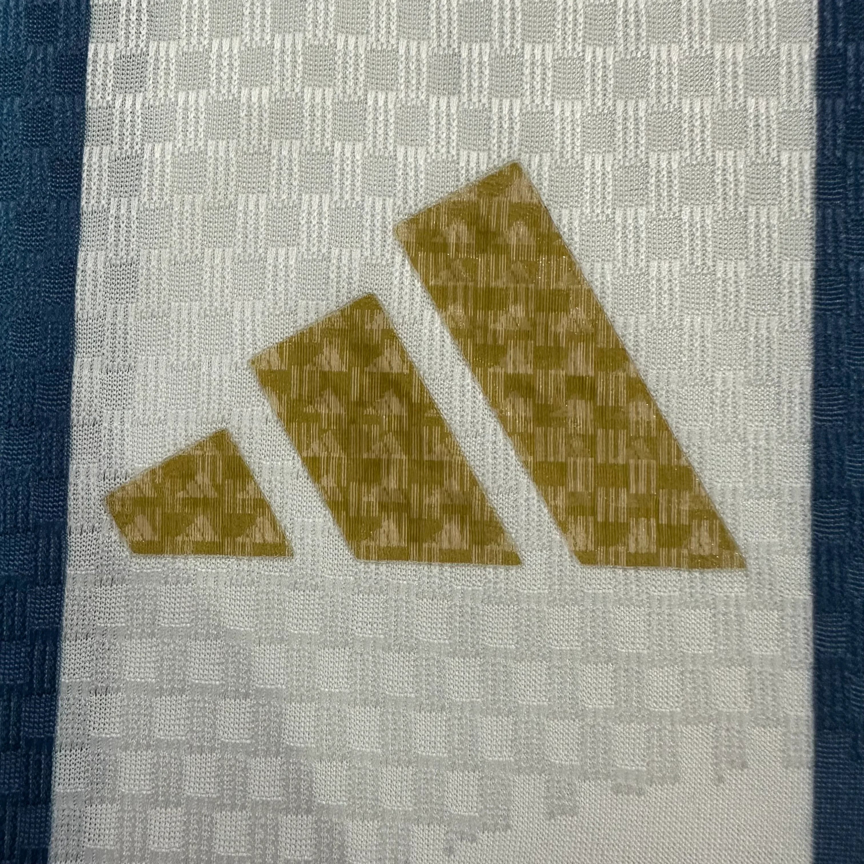 Camiseta Argentina Primera Equipación Mundial 2026, Player