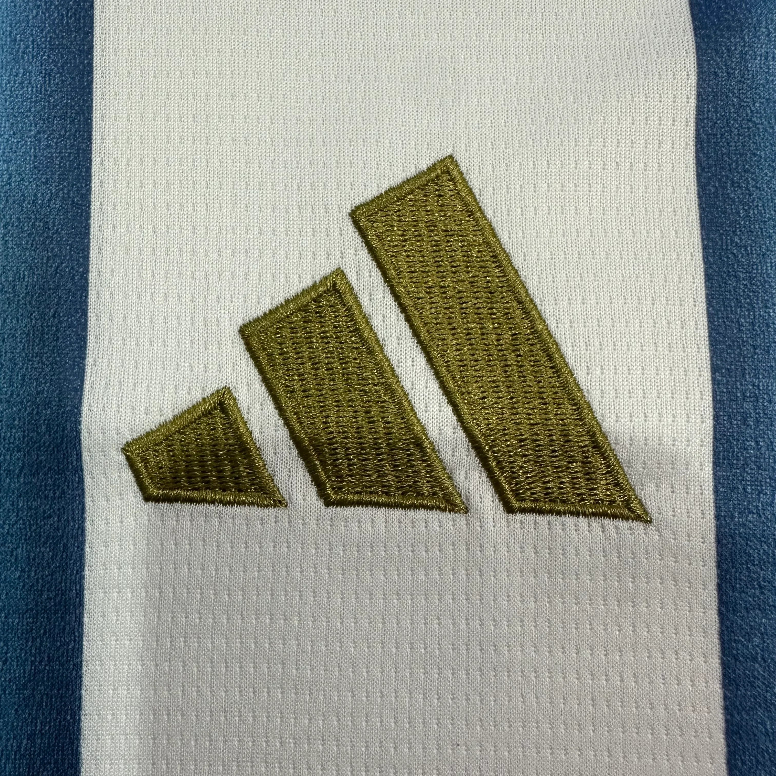 Camiseta Argentina Primera Equipación Mundial 2026, Fan