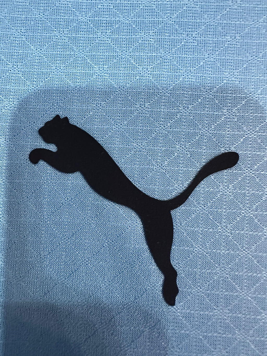 Camiseta Manchester City Primera Equipación 25/26, Player