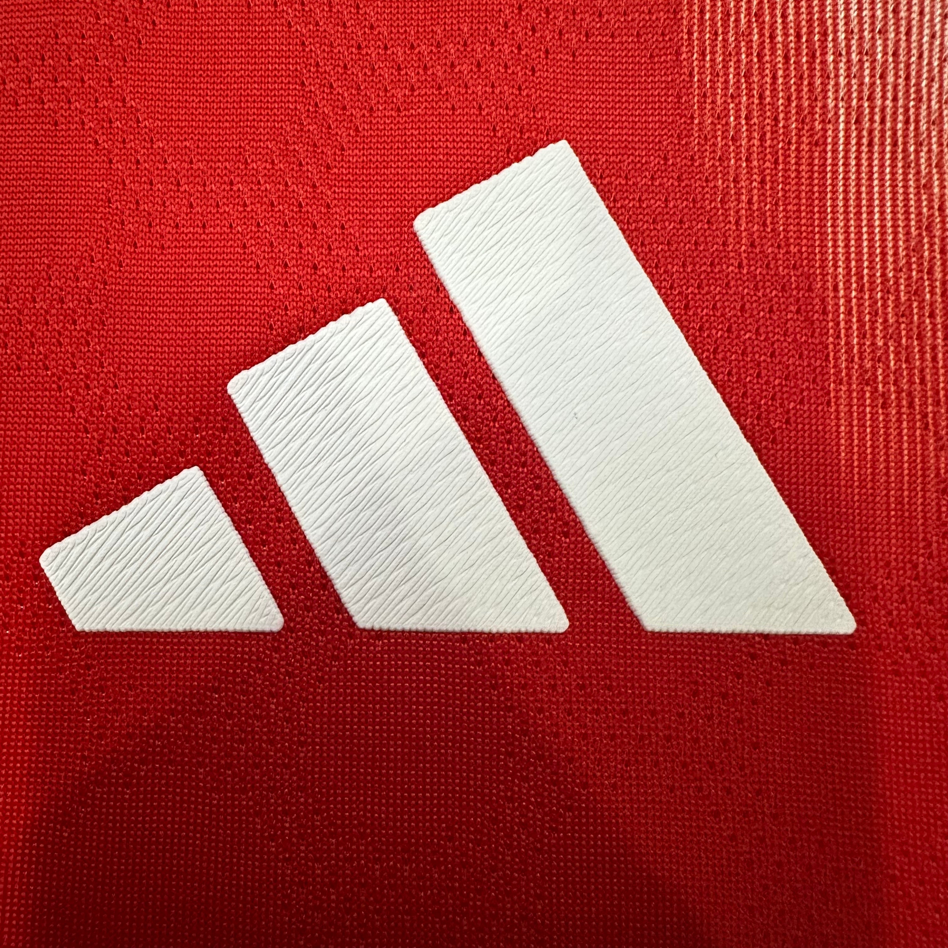 Camiseta Bayern de Munich Primera Equipación 25/26, Player